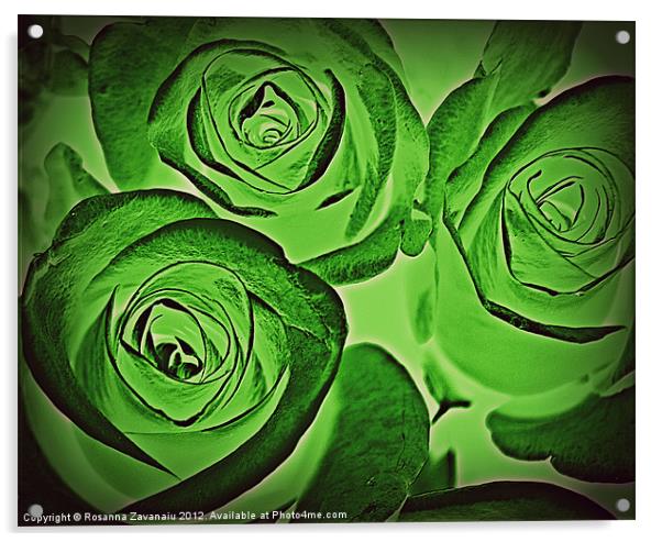Artsy Rose. Acrylic by Rosanna Zavanaiu