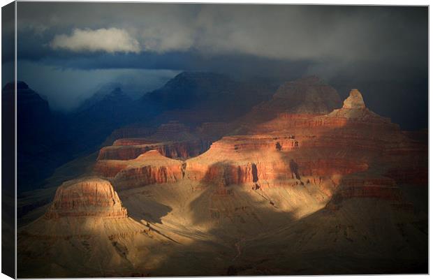 Canyon Exposed Canvas Print by Neil Gavin