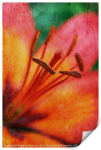 Lillies By Nature. Print by Rosanna Zavanaiu