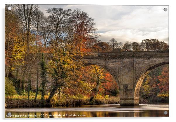 Prebends Bridge in Autumn Acrylic by Ray Pritchard