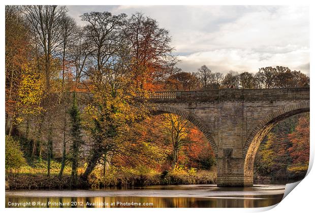 Prebends Bridge in Autumn Print by Ray Pritchard