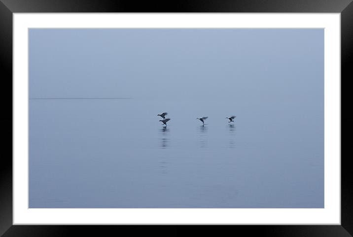 On this blue morning Framed Mounted Print by jane dickie