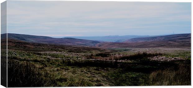 Wild Moor Canvas Print by Andy Freeman