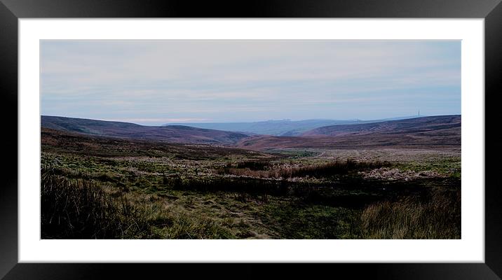 Wild Moor Framed Mounted Print by Andy Freeman
