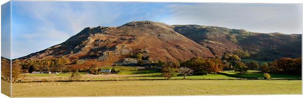 Patterdale Common Canvas Print by Roger Green