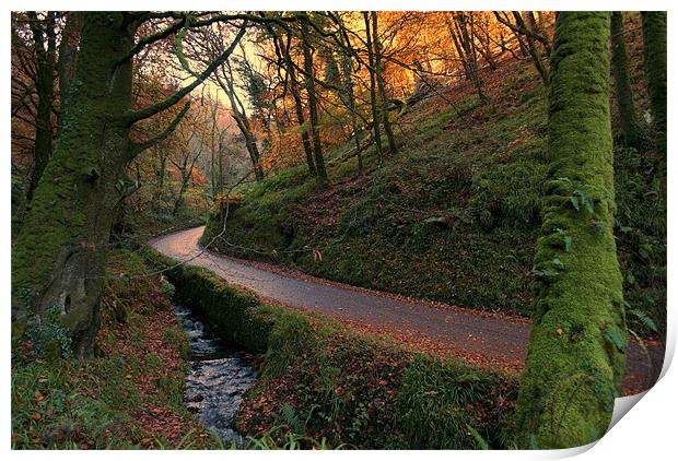 Bucks Mill Print by Dave Wilkinson North Devon Ph