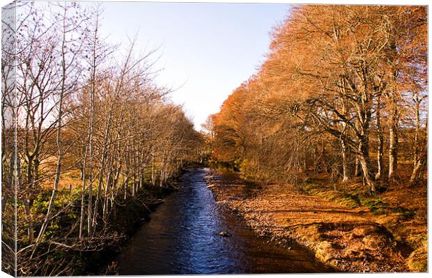 By the Banks of the River Nairn Canvas Print by Jacqi Elmslie