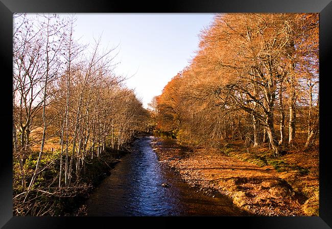 By the Banks of the River Nairn Framed Print by Jacqi Elmslie