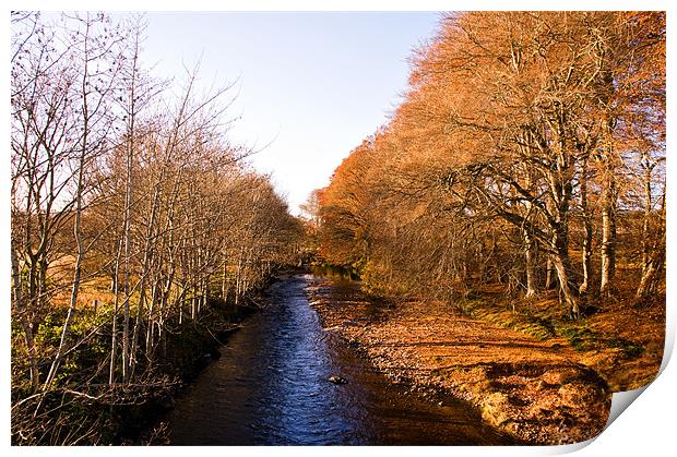 By the Banks of the River Nairn Print by Jacqi Elmslie