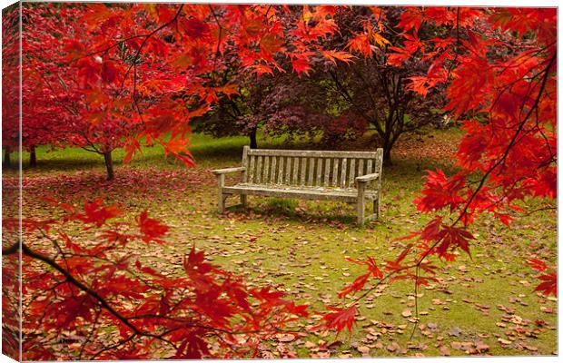 Autumn Bench Canvas Print by Gail Johnson