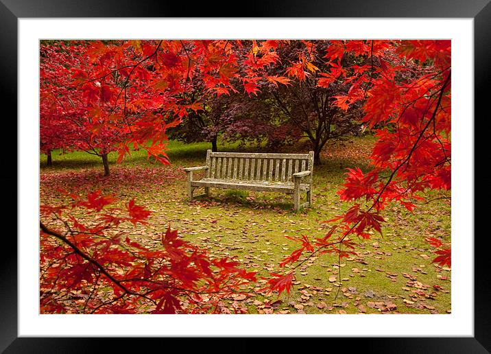 Autumn Bench Framed Mounted Print by Gail Johnson