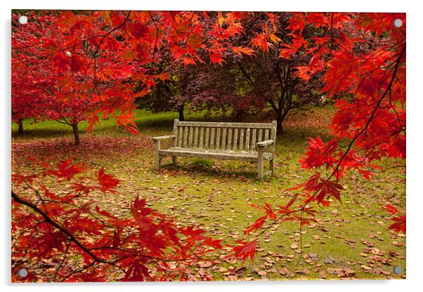Autumn Bench Acrylic by Gail Johnson