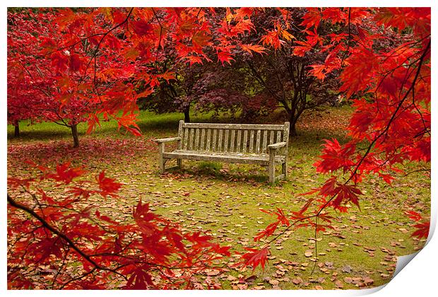 Autumn Bench Print by Gail Johnson