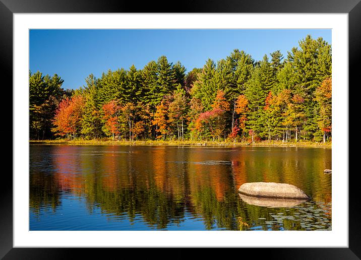 Mills Pond Framed Mounted Print by Thomas Schaeffer