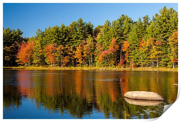 Mills Pond Print by Thomas Schaeffer