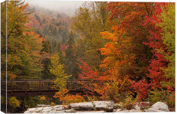 Rocky Gorge at Kancamagus Highway Canvas Print by Thomas Schaeffer