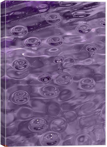 Purple Rain Canvas Print by Rebecca  Young
