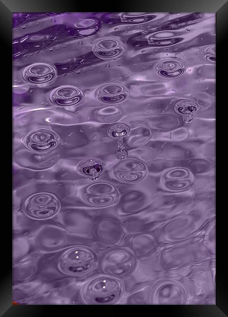 Purple Rain Framed Print by Rebecca  Young