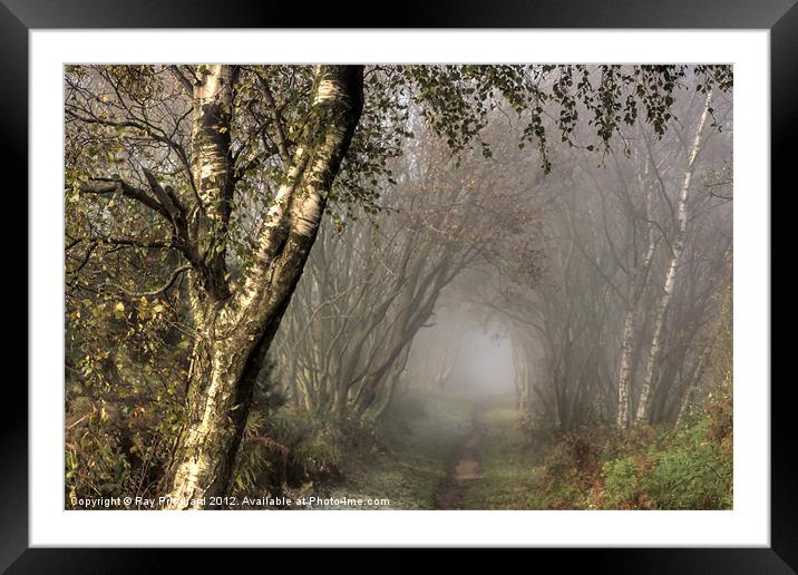 Cyclepath to Where Ever Framed Mounted Print by Ray Pritchard