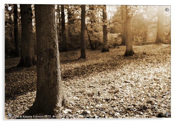 Leafy Autumn Woodland in Sepia Acrylic by Natalie Kinnear