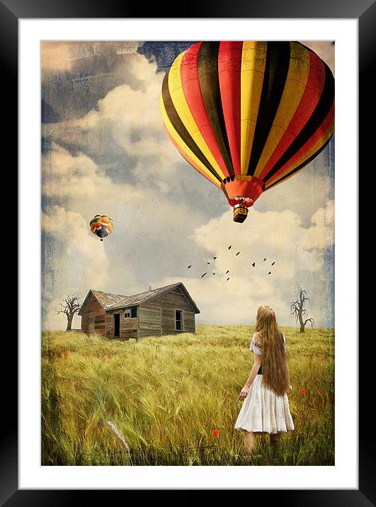 Flying High Framed Mounted Print by Paul Cook