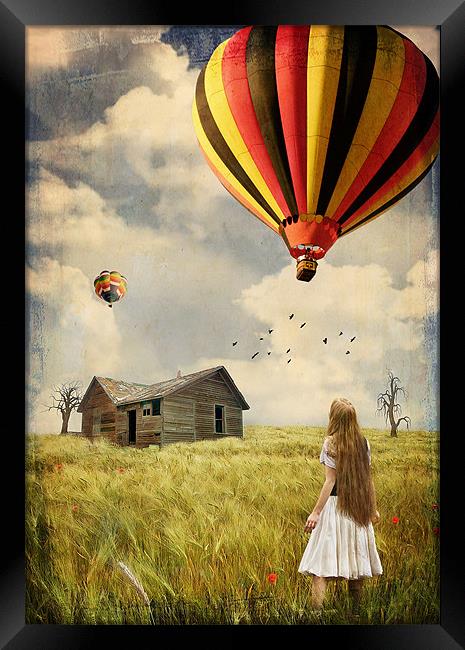 Flying High Framed Print by Paul Cook