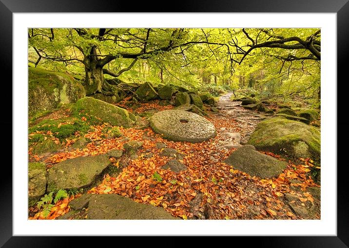 Padley Gorge Framed Mounted Print by Tracey Whitefoot