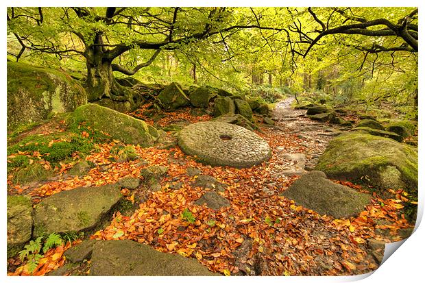 Padley Gorge Print by Tracey Whitefoot