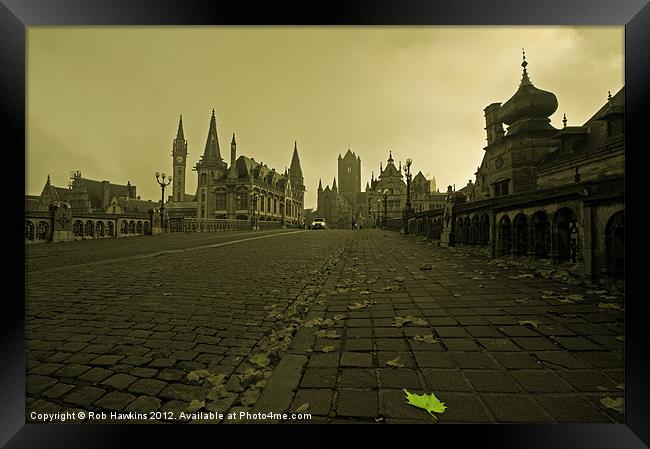 Leaf amongst the towers of Ghent Framed Print by Rob Hawkins