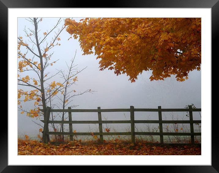 Autumn Mist Framed Mounted Print by Noreen Linale