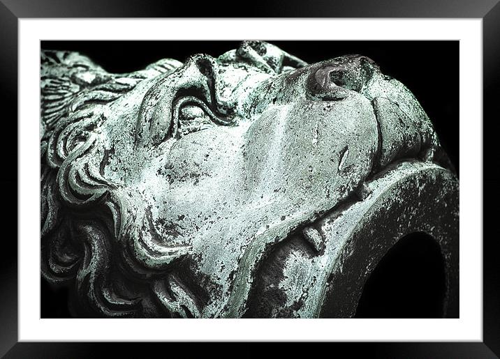 Cannon Lion Framed Mounted Print by Mary Lane