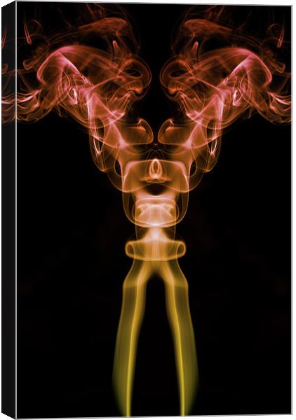 Smoke Photography #2 Canvas Print by Louise Wagstaff