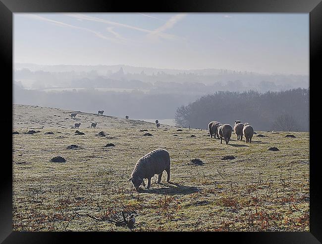 ''Wait For Me'' Framed Print by Mark  F Banks