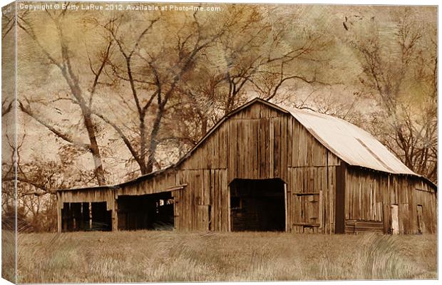 American West Barn Canvas Print by Betty LaRue