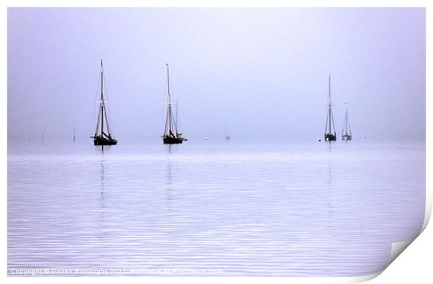 Moored In The Mist Print by Darren Burroughs