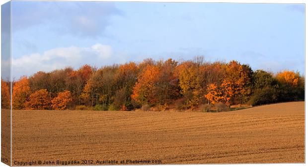 Autumn Colours Canvas Print by John Biggadike