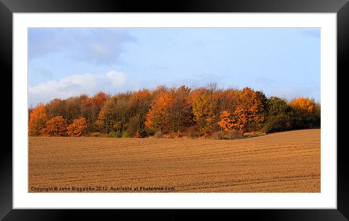 Autumn Colours Framed Mounted Print by John Biggadike