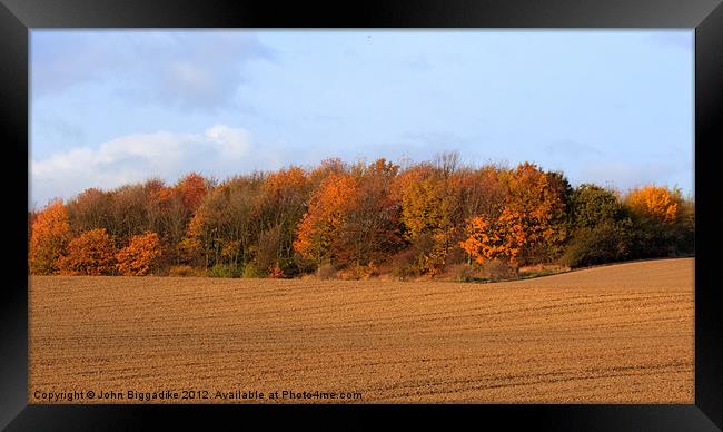 Autumn Colours Framed Print by John Biggadike
