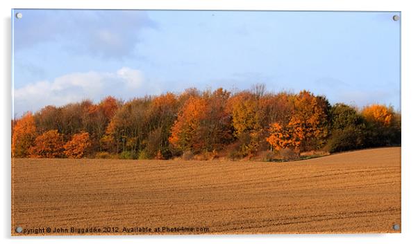 Autumn Colours Acrylic by John Biggadike