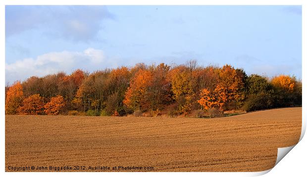 Autumn Colours Print by John Biggadike