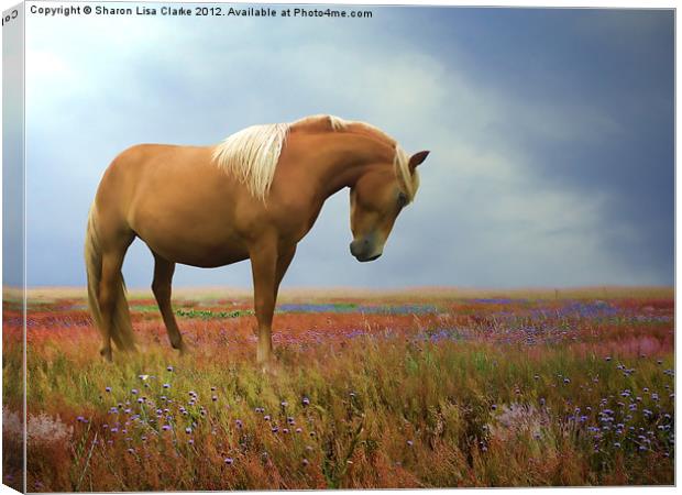 Painted Pastures Canvas Print by Sharon Lisa Clarke