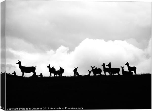 Deers on the Horizon Canvas Print by Graham Custance