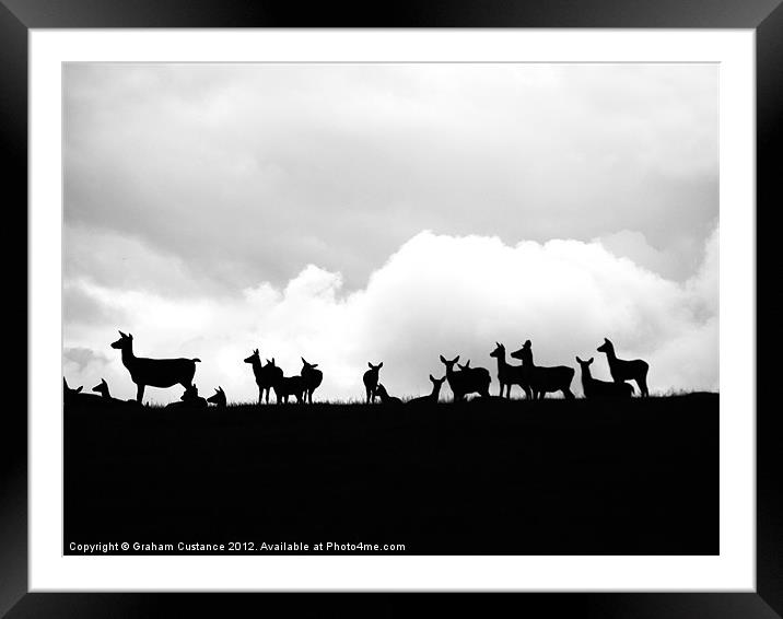 Deers on the Horizon Framed Mounted Print by Graham Custance