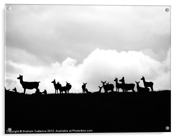 Deers on the Horizon Acrylic by Graham Custance