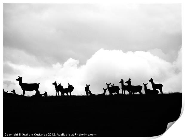 Deers on the Horizon Print by Graham Custance