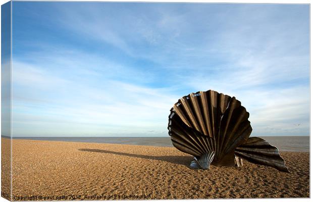 The Scallop Canvas Print by paul petty
