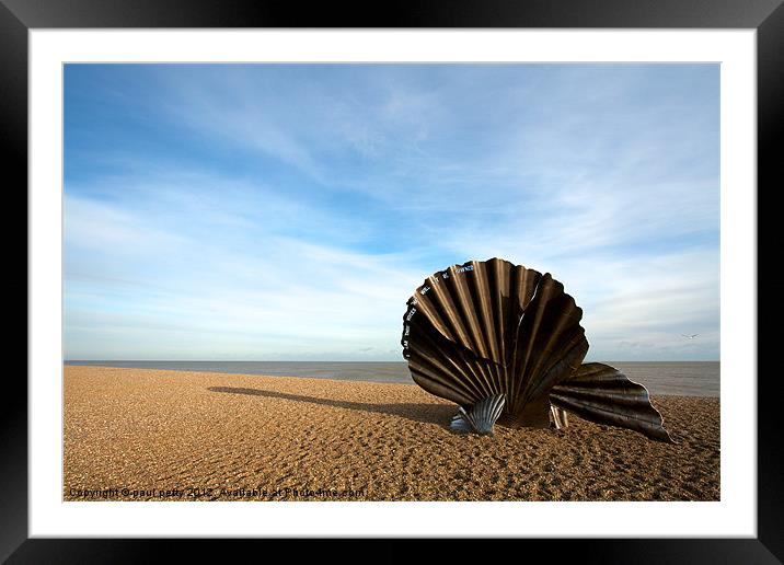 The Scallop Framed Mounted Print by paul petty