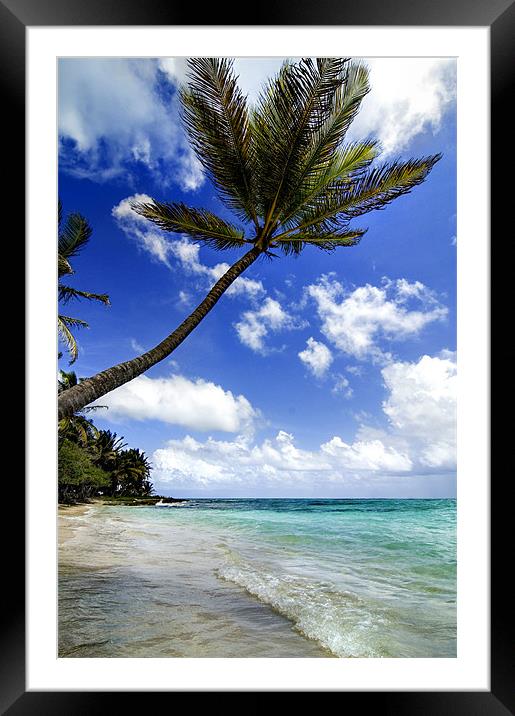 Marie Galante island Framed Mounted Print by World Images