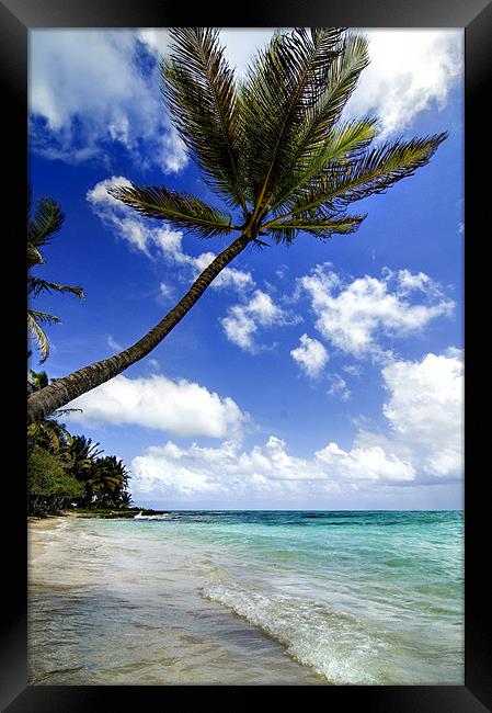 Marie Galante island Framed Print by World Images