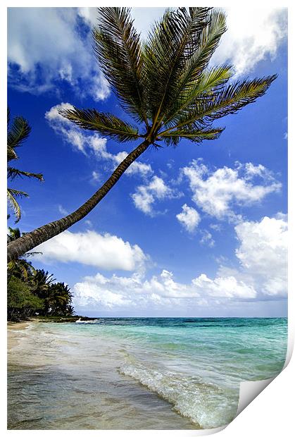 Marie Galante island Print by World Images